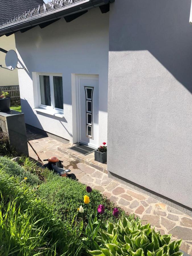 Apartment Sara باد ميترندورف المظهر الخارجي الصورة